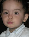 Stefano1.JPG(28045 byte)